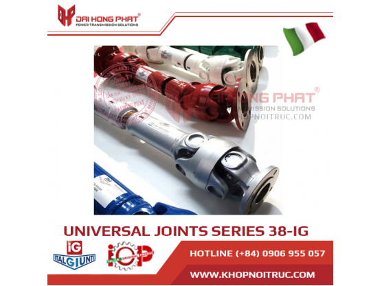 Italgiunti Universal Joint series 38-IG Italy