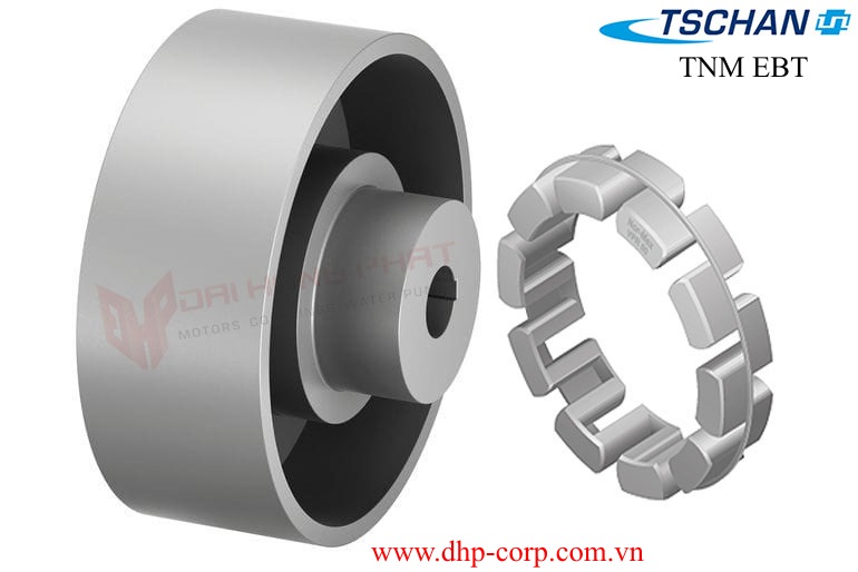 Khớp nối mềm Nor mex Ringfeder