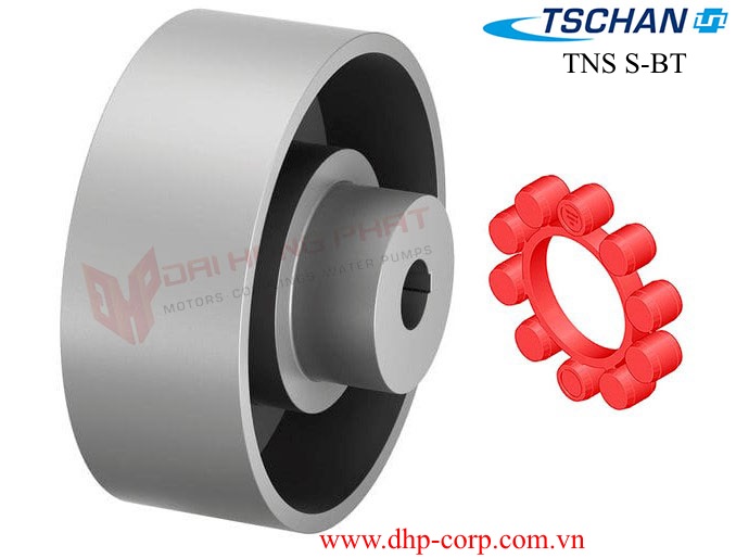 Khớp nối trục Ringfeder TNS