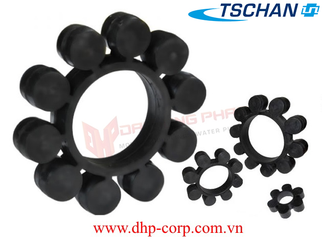 Khớp nối trục Ringfeder TNS