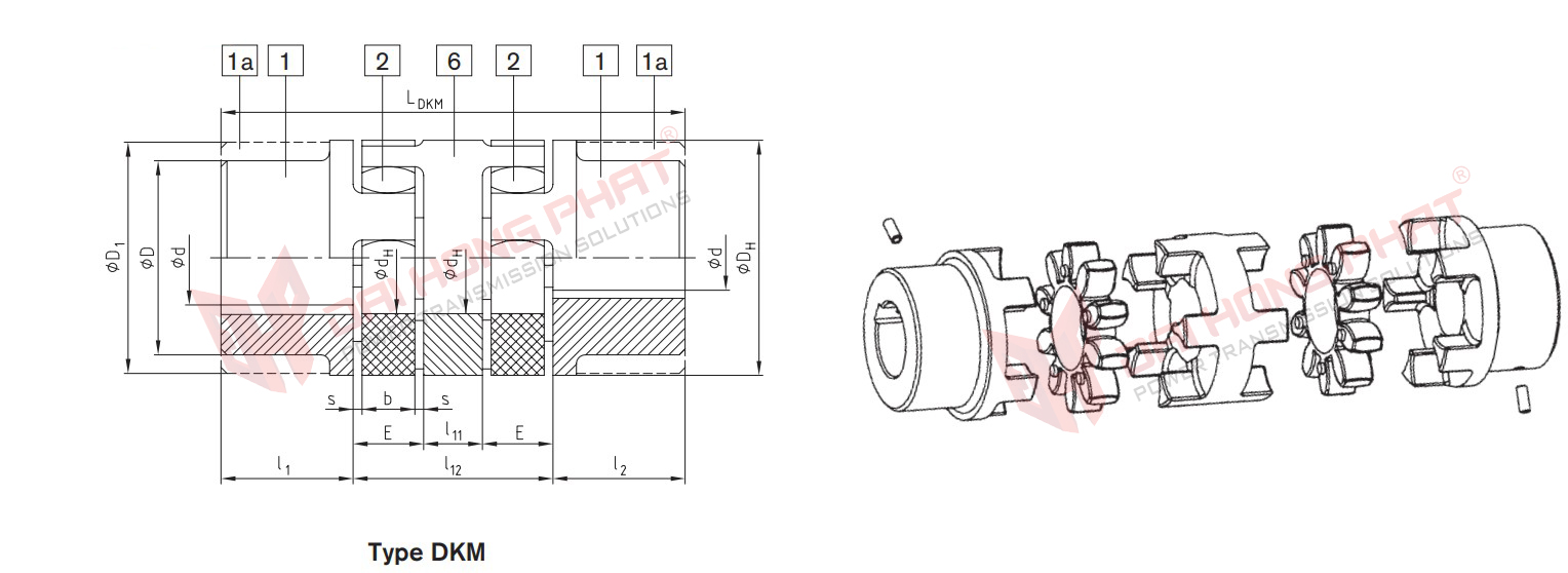 Khớp nối trục KTR Rotex DKM