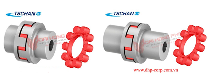 Khớp nối trục TSCHAN S