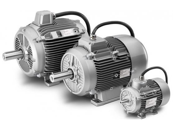 Động cơ điện Siemens 1LE1